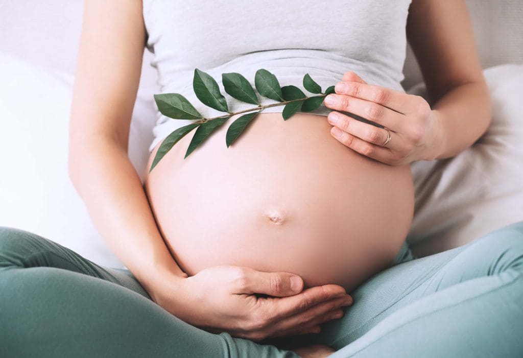 Pregnant woman holding green sprout symbolising fertility and pregnancy care supported by specialist ultrasound services in regional North Queensland